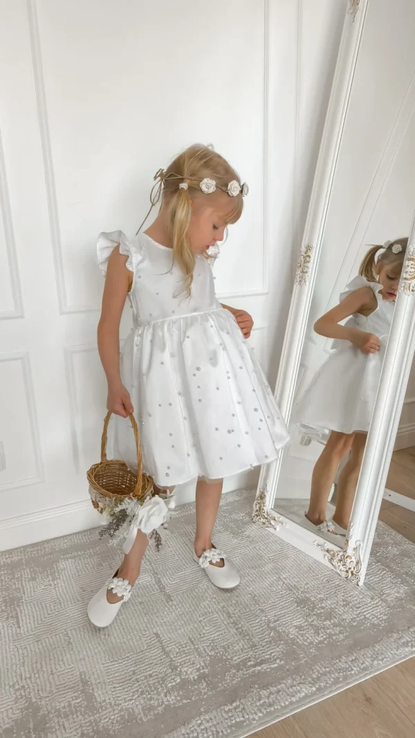 1772728862966 1772728862966