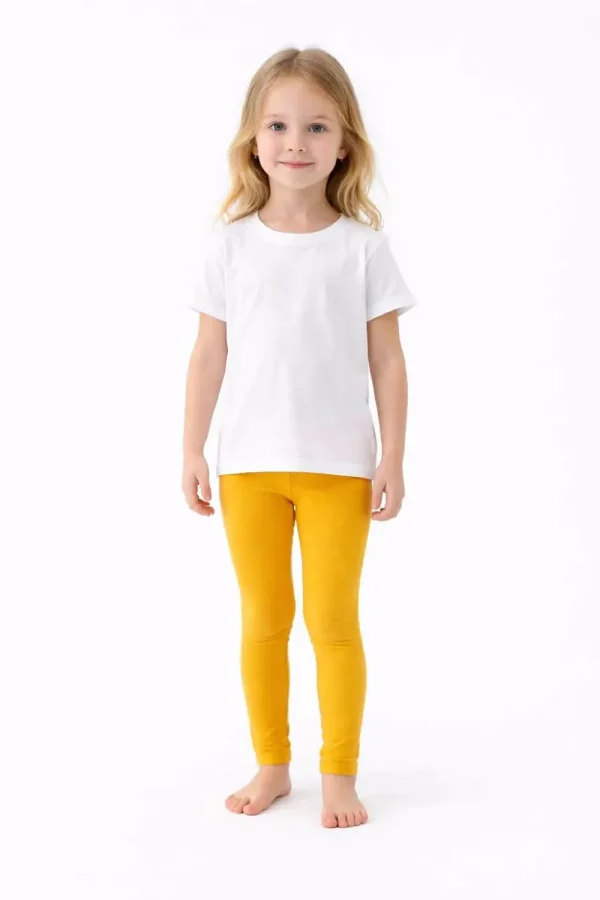 642789419_1461664132280173_5255922844600509434_n 642789419_1461664132280173_5255922844600509434_n